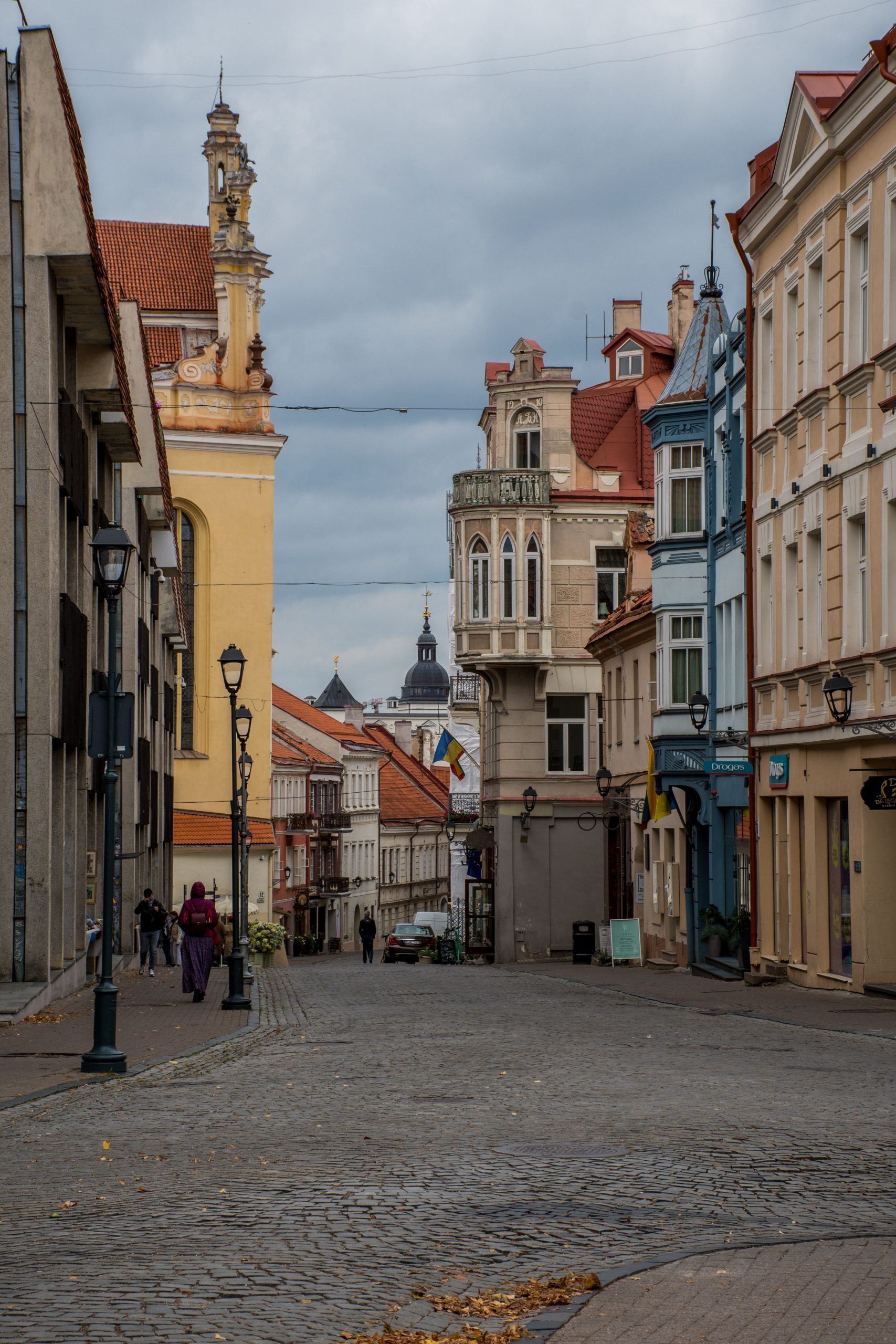Corporate Executive Intercity Transfer Vilnius